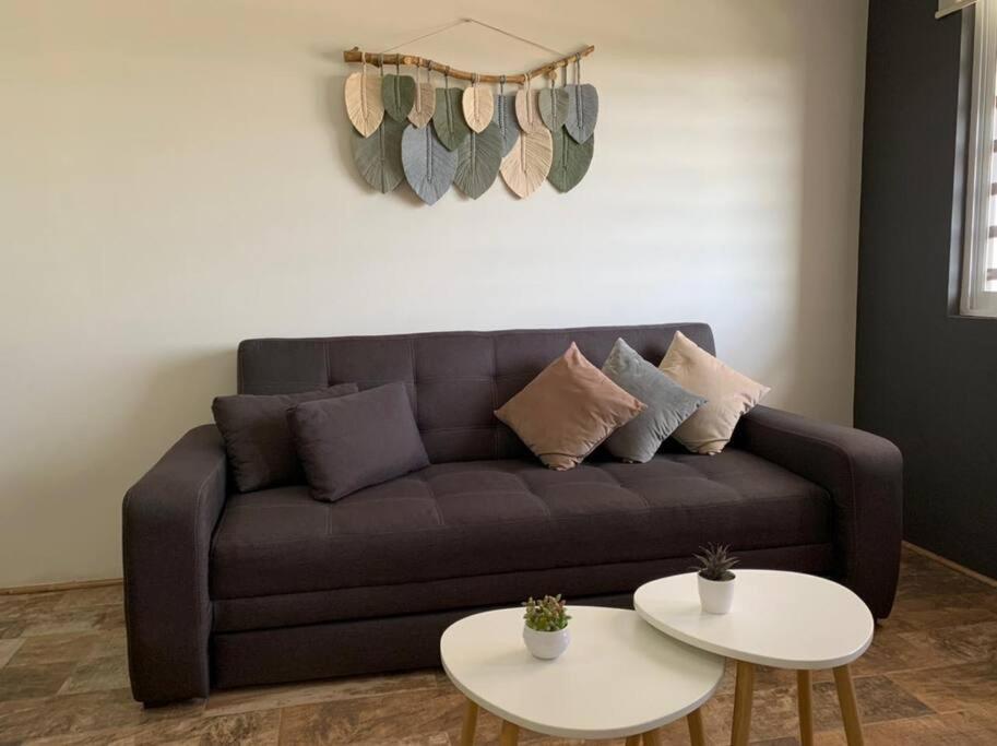 Departamento Completo Y Equipado Con 2 Habitaciones レオン エクステリア 写真