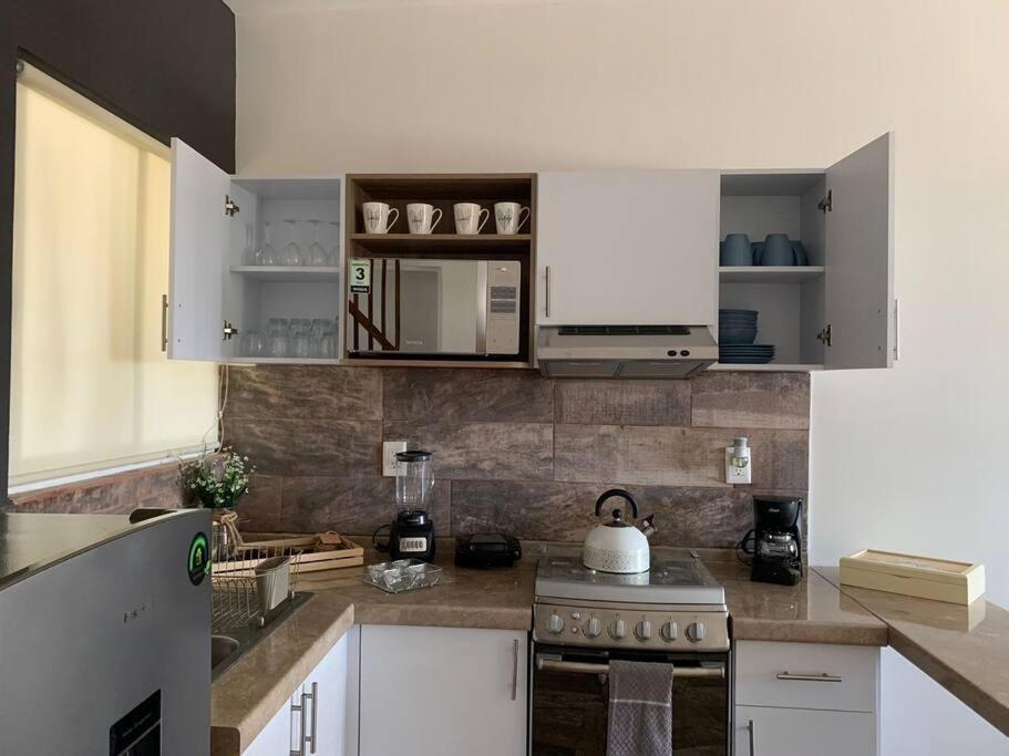 Departamento Completo Y Equipado Con 2 Habitaciones レオン エクステリア 写真