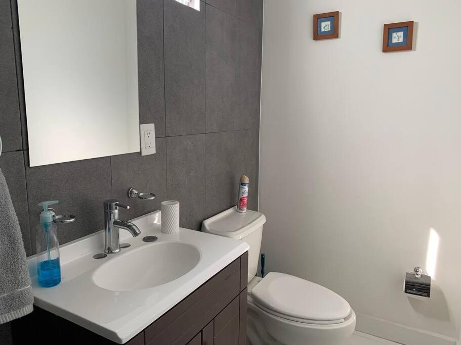 Departamento Completo Y Equipado Con 2 Habitaciones レオン エクステリア 写真